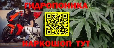 бошки Бердск